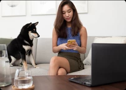 A dog exploring a generic pet subscription box