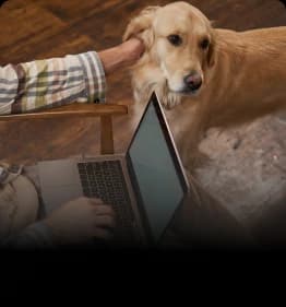AI processing thousands of pet profiles for recommendations