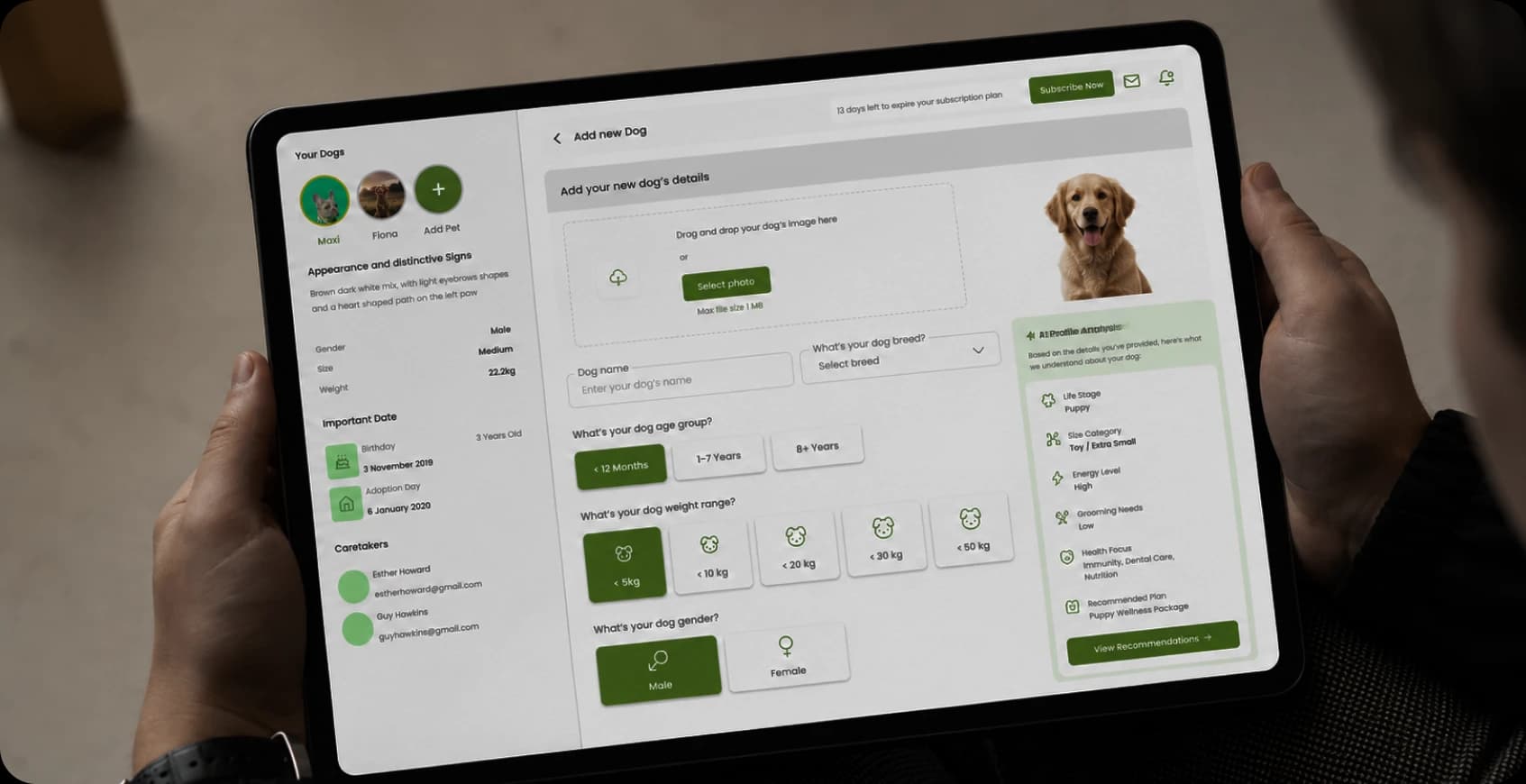 AI analyzing dog breed and health data