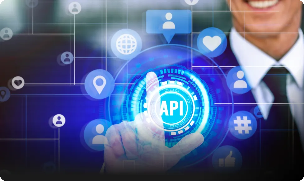 API and External Connectivity