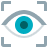 Vision Language Models (VLMs)