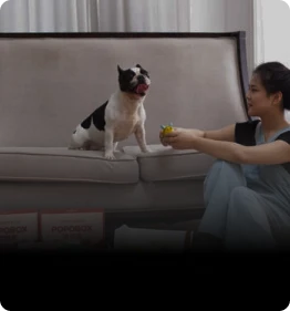 AI processing thousands of pet profiles for recommendations